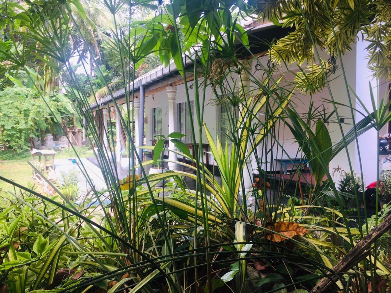 Susha 1ac Bedroom With 2non Ac Bedrooms *